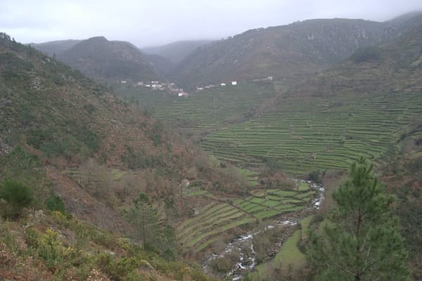 Foto 49 da atividade Galeria de Fotos