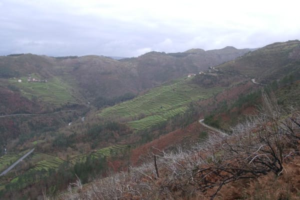 Foto 32 da atividade Galeria de Fotos