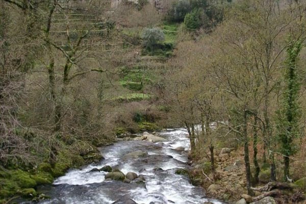 Foto 9 da atividade Galeria de Fotos