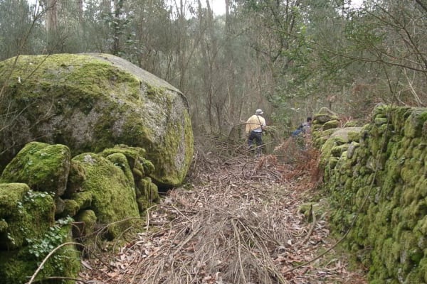 Foto 11 da atividade Galeria de Fotos