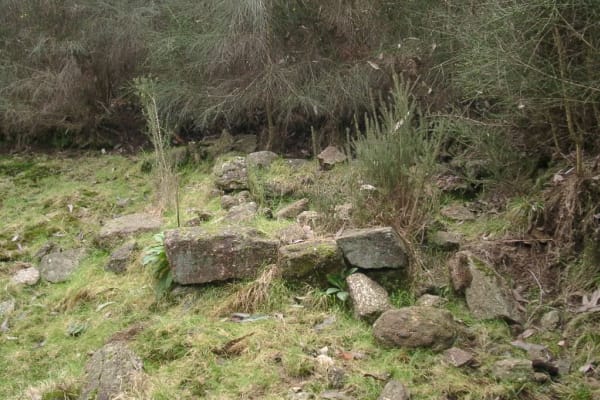 Foto 8 da atividade Galeria de Fotos