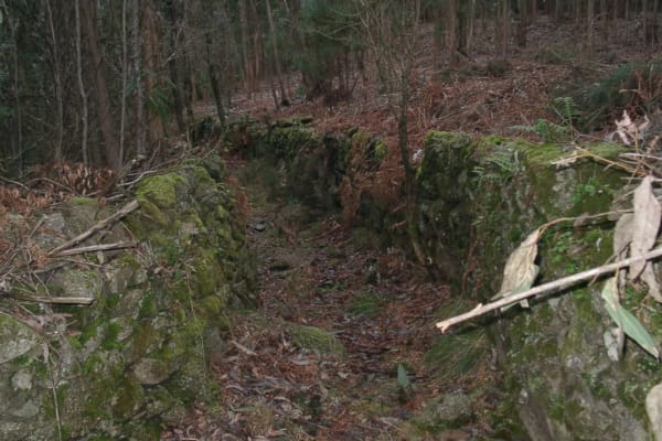 Foto 4 da atividade Galeria de Fotos