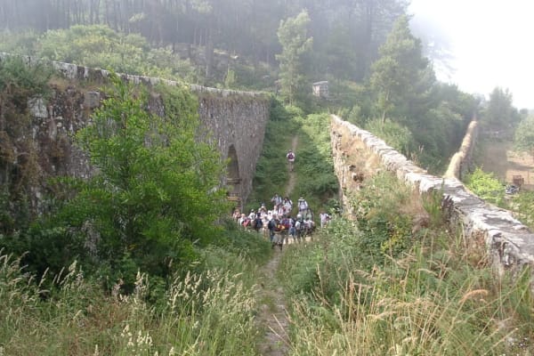 Foto 110 da atividade Galeria de Fotos