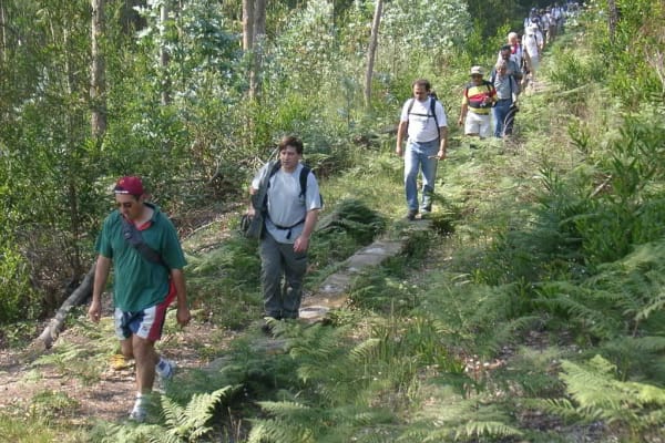 Foto 101 da atividade Galeria de Fotos