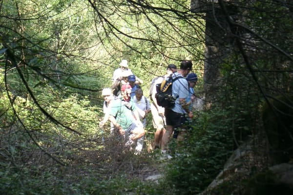 Foto 96 da atividade Galeria de Fotos