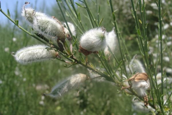 Foto 65 da atividade Galeria de Fotos