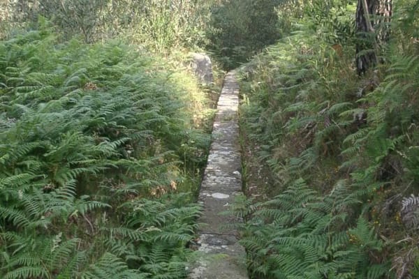 Foto 25 da atividade Galeria de Fotos