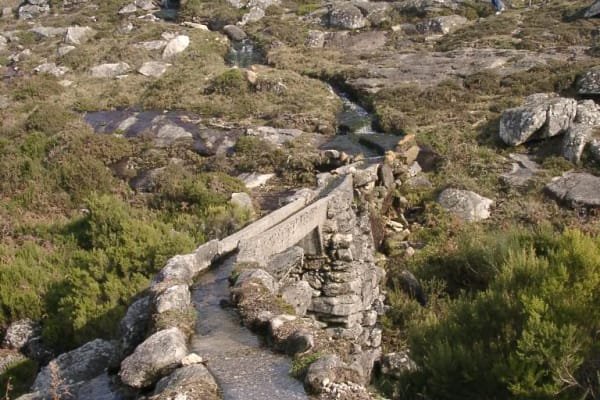 Foto 85 da atividade Galeria de Fotos