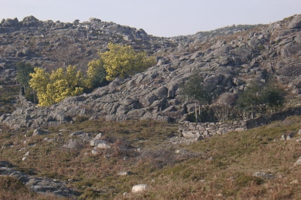 Foto 76 da atividade Galeria de Fotos