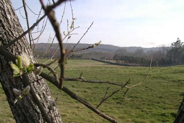 Foto 68 da atividade Galeria de Fotos