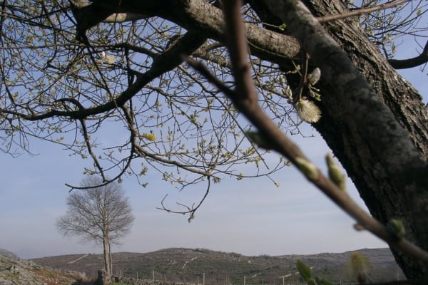 Foto 59 da atividade Galeria de Fotos