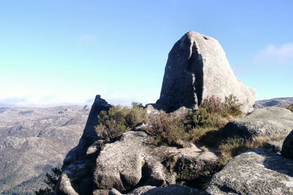 Foto 76 da atividade Galeria de Fotos