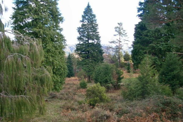 Foto 73 da atividade Galeria de Fotos