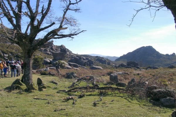 Foto 17 da atividade Galeria de Fotos