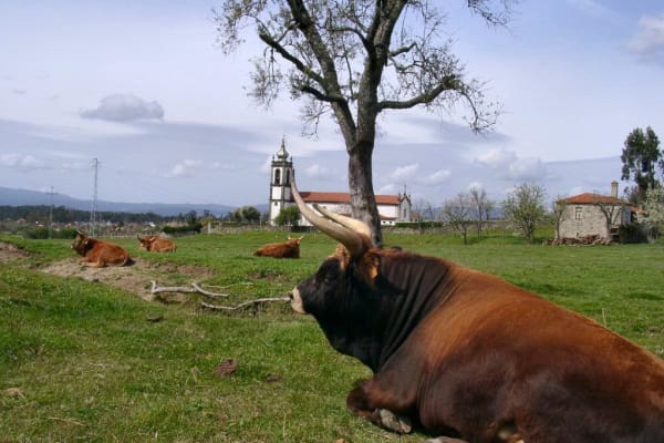 Foto 254 da atividade Galeria de Fotos