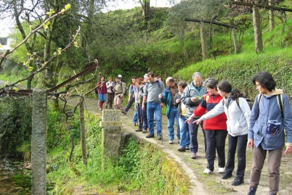 Foto 248 da atividade Galeria de Fotos