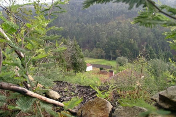 Foto 230 da atividade Galeria de Fotos