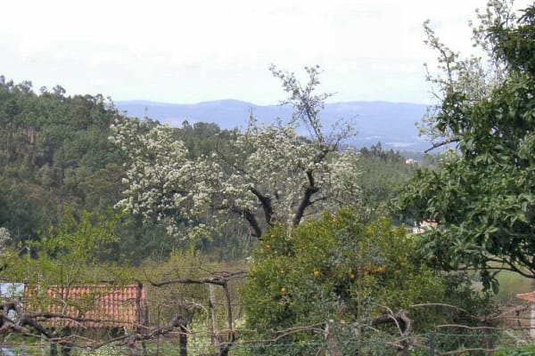 Foto 220 da atividade Galeria de Fotos