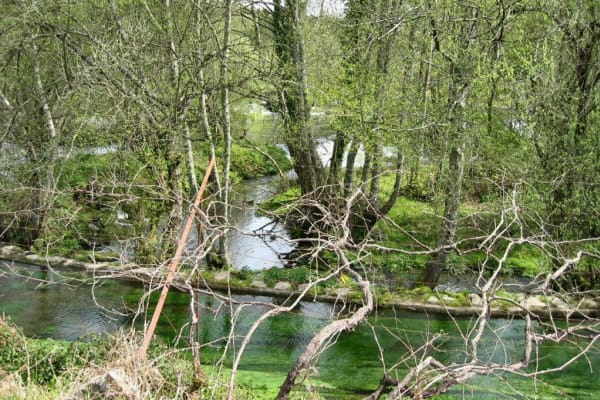 Foto 206 da atividade Galeria de Fotos