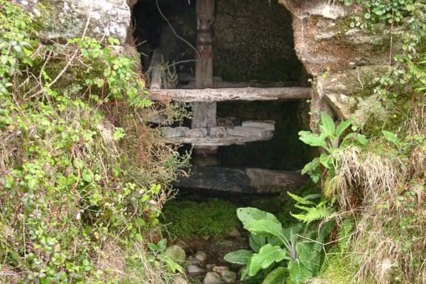 Foto 155 da atividade Galeria de Fotos