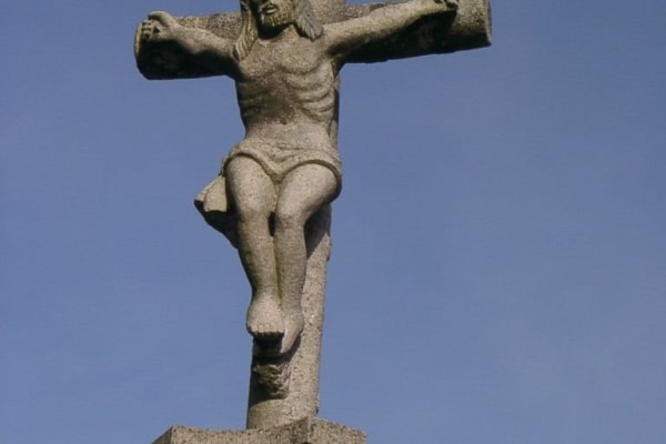 Foto 146 da atividade Galeria de Fotos