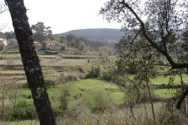 Foto 130 da atividade Galeria de Fotos