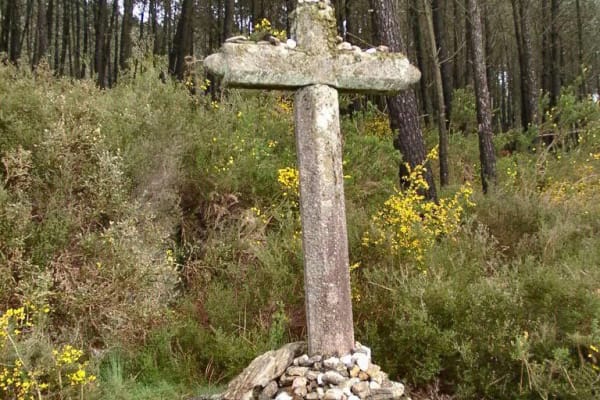 Foto 105 da atividade Galeria de Fotos