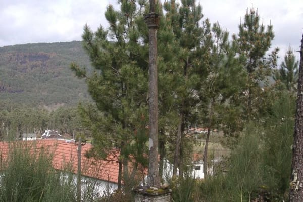 Foto 102 da atividade Galeria de Fotos