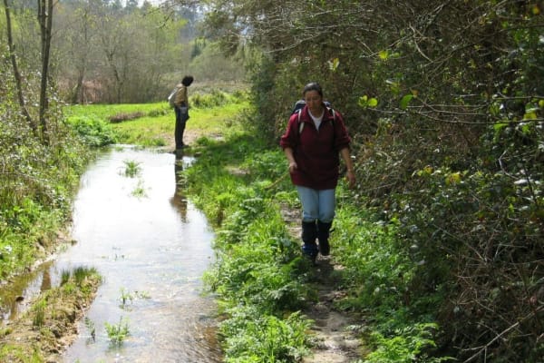 Foto 97 da atividade Galeria de Fotos