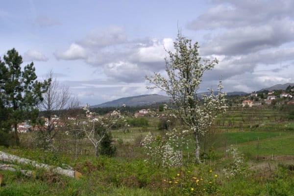 Foto 57 da atividade Galeria de Fotos