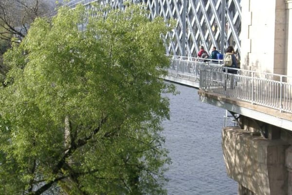 Foto 32 da atividade Galeria de Fotos