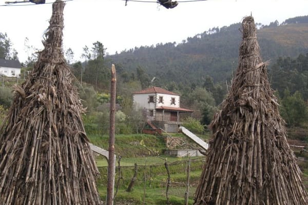 Foto 11 da atividade Galeria de Fotos