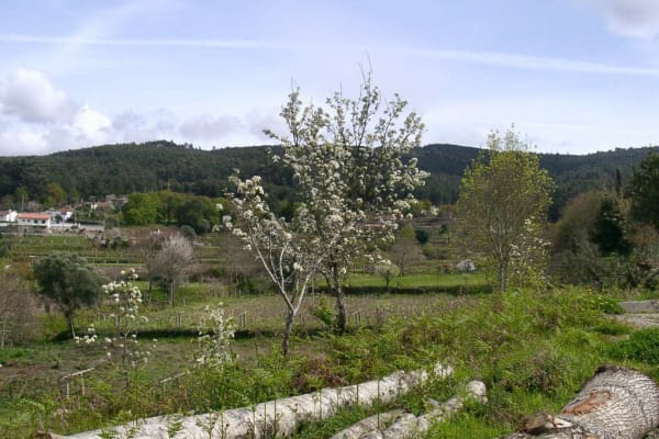 Foto 1 da atividade Galeria de Fotos