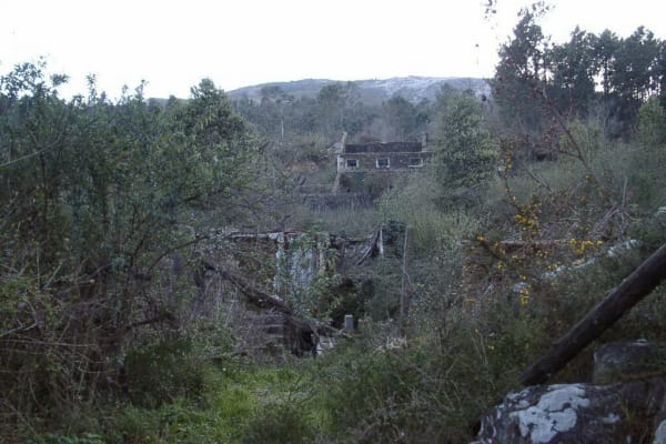 Foto 206 da atividade Galeria de Fotos