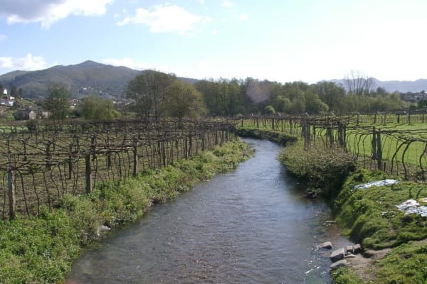 Foto 202 da atividade Galeria de Fotos