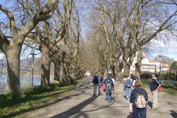 Foto 199 da atividade Galeria de Fotos