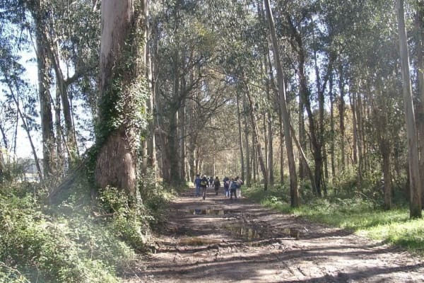 Foto 155 da atividade Galeria de Fotos