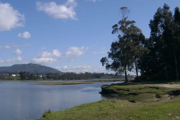 Foto 145 da atividade Galeria de Fotos