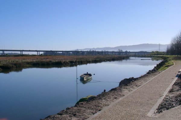 Foto 134 da atividade Galeria de Fotos