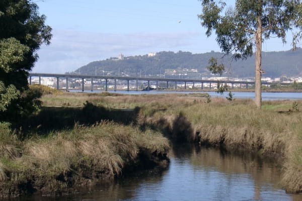 Foto 117 da atividade Galeria de Fotos