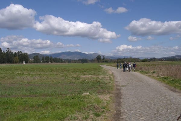 Foto 99 da atividade Galeria de Fotos