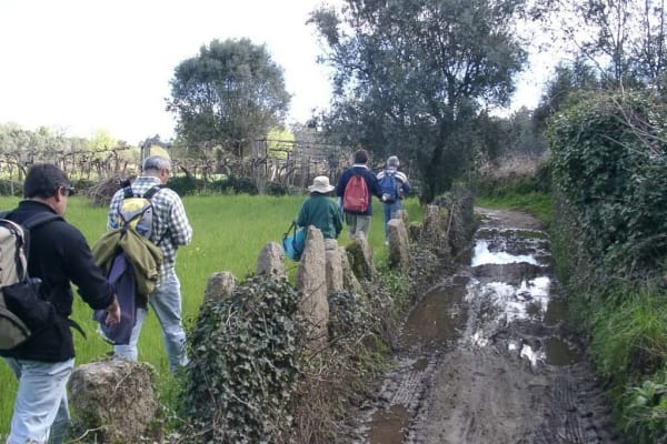 Foto 83 da atividade Galeria de Fotos