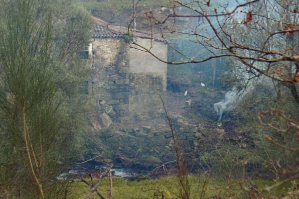 Foto 50 da atividade Galeria de Fotos