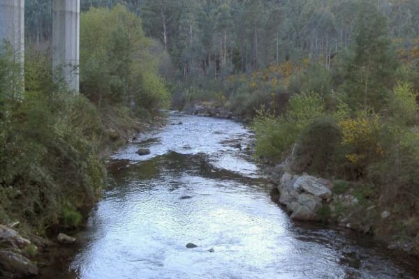 Foto 7 da atividade Galeria de Fotos