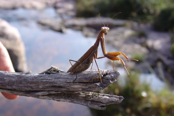 Foto 22 da atividade Galeria de Fotos