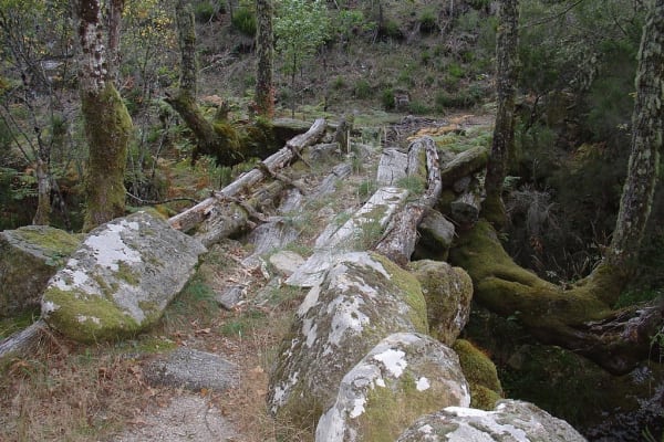 Foto 21 da atividade Galeria de Fotos