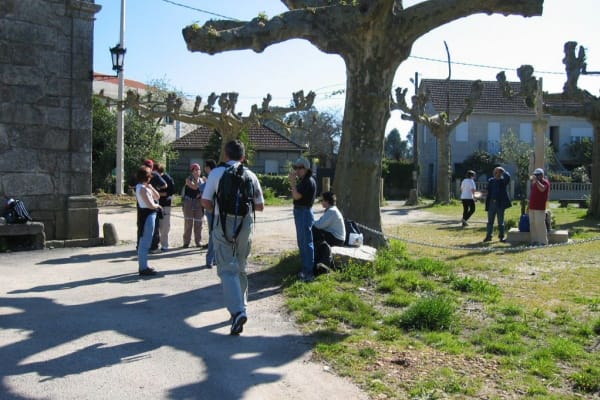 Foto 137 da atividade Galeria de Fotos