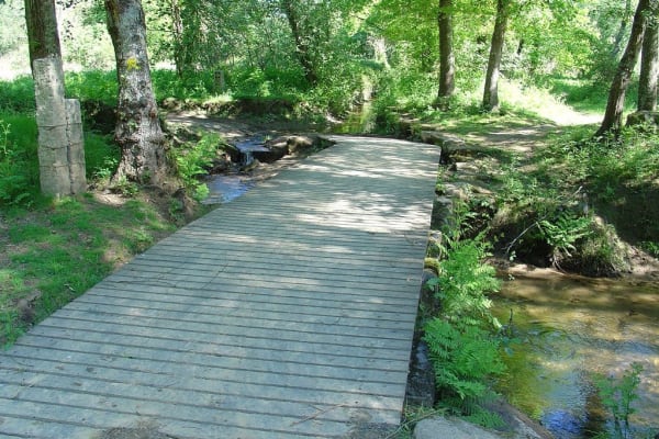 Foto 128 da atividade Galeria de Fotos