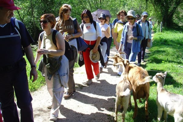 Foto 113 da atividade Galeria de Fotos