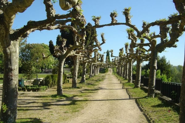 Foto 97 da atividade Galeria de Fotos